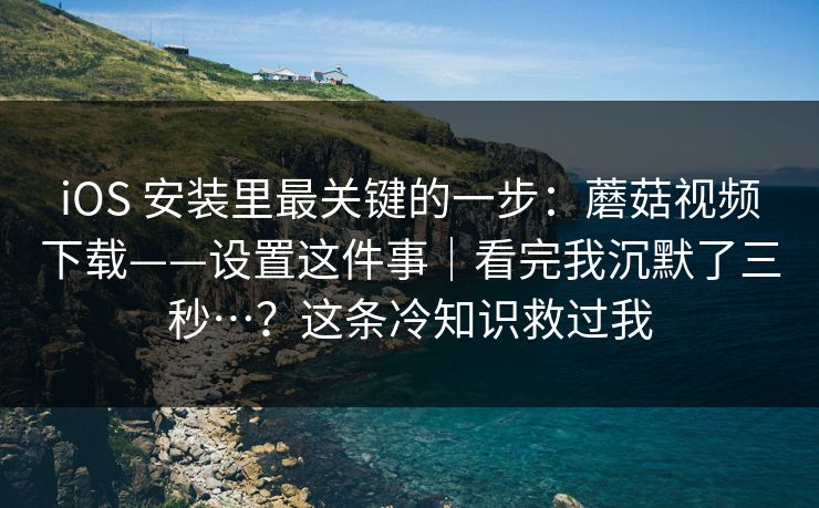 iOS 安装里最关键的一步：蘑菇视频下载——设置这件事｜看完我沉默了三秒…？这条冷知识救过我  第1张